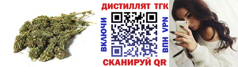 mega зеркало  сайты даркнета состав  Тайшет  ТГК жижа  купить  цена 