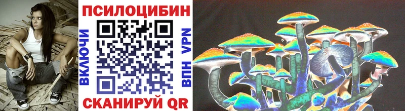 Псилоцибиновые грибы Psilocybine cubensis гидра рабочий сайт Тайшет