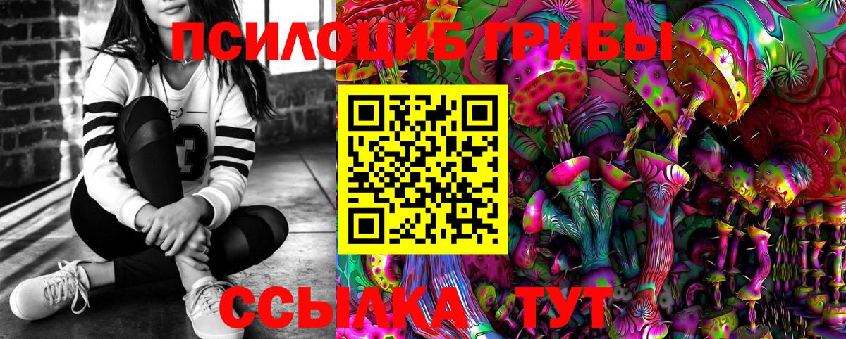 Псилоцибиновые грибы Cubensis Тайшет