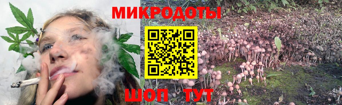 магазин  наркотиков  Вход с VPN  Тайшет  Псилоцибиновые грибы MAGIC MUSHROOMS 