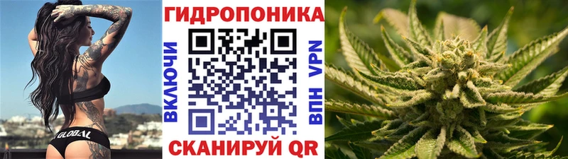 Марихуана план  где найти   Тайшет 